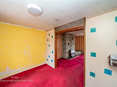 Picture 7
